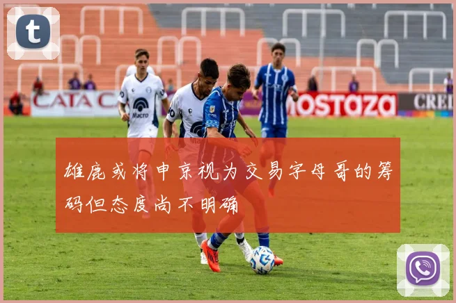 雄鹿或将申京视为交易字母哥的筹码但态度尚不明确