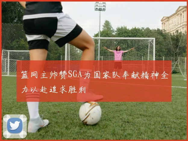 篮网主帅赞SGA为国家队奉献精神全力以赴追求胜利
